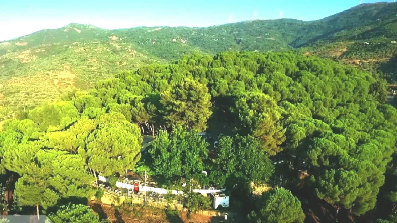 İzmir'de Saklı Cennet! Ormanın İçindeki Vahayı Keşfedin, Bırakamayacaksınız!