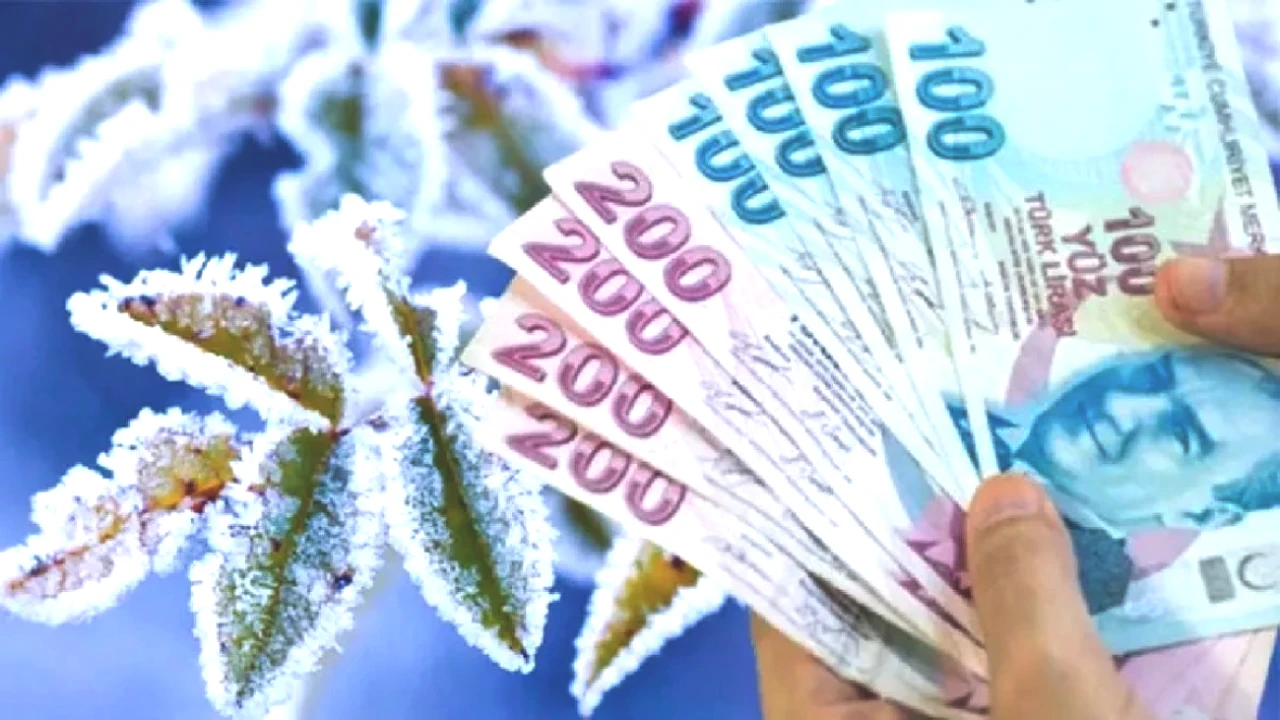2025 Zirai Don Destek Ödemeleri Ne Zaman Hesaplara Geçiyor? İşte Detaylar!