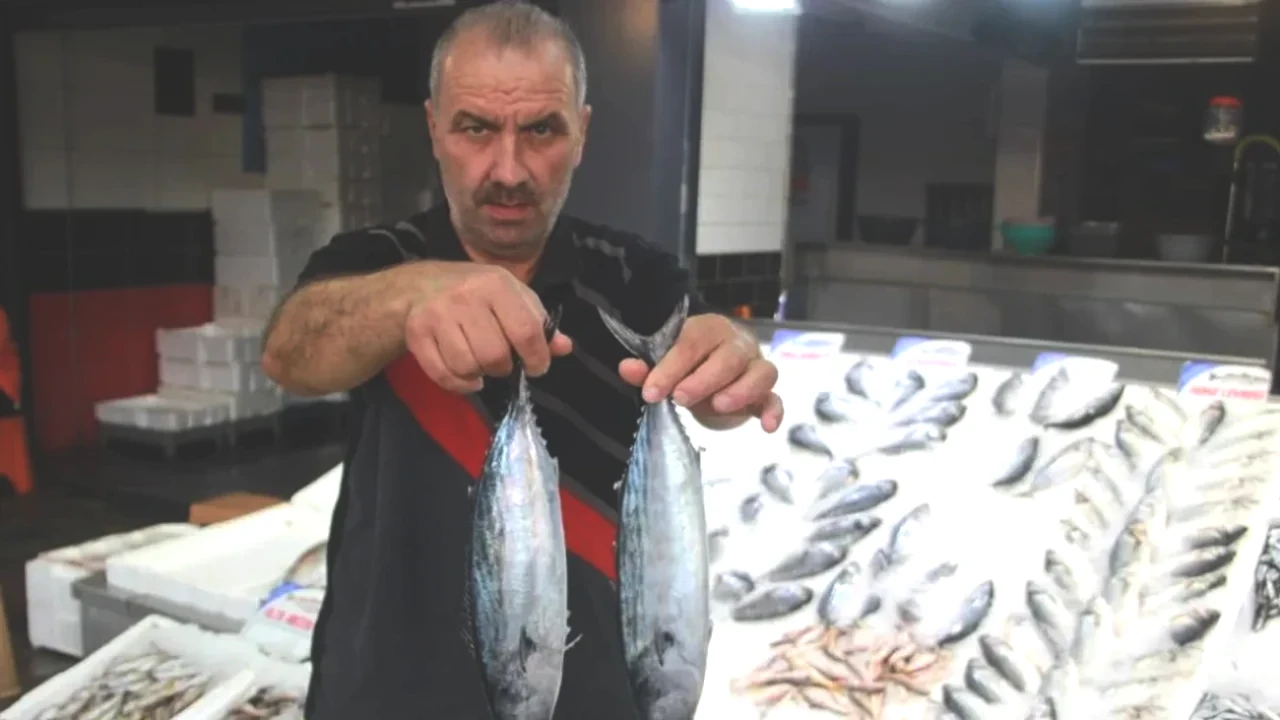 Balık Tezgahlarında Şaşırtıcı Fiyatlar! Palamut ve Hamsi Durumu Açıklandı